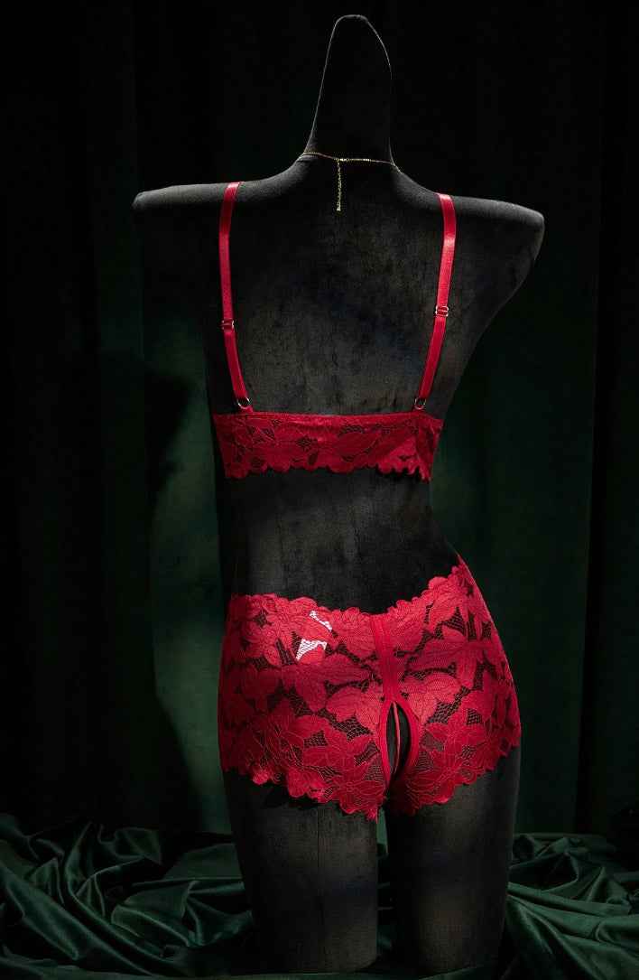 Open Crotch Panty Lingerie Set - Image 3